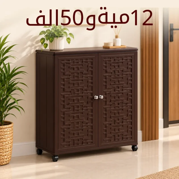 خزانة أحذية غير قابلة للكسر أنيقة بـ 3 ألوان (بسعر 12 مية و50 الف) - لون بني